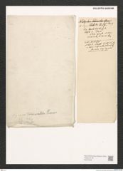 Diatomeae indet. Zeichnungen Sammlung Grunow (NHMW-BOT-W0372468)